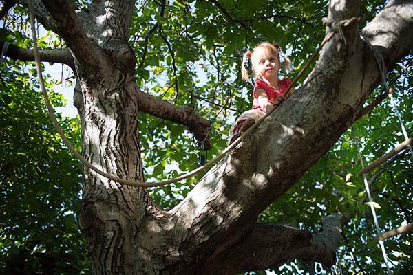 Спорткомплекс на дереве: как повесить качели, трапецию, кольца, лиану и лесенки на даче или в лесу. Теория и практика бескаркасных спортивных комплексов